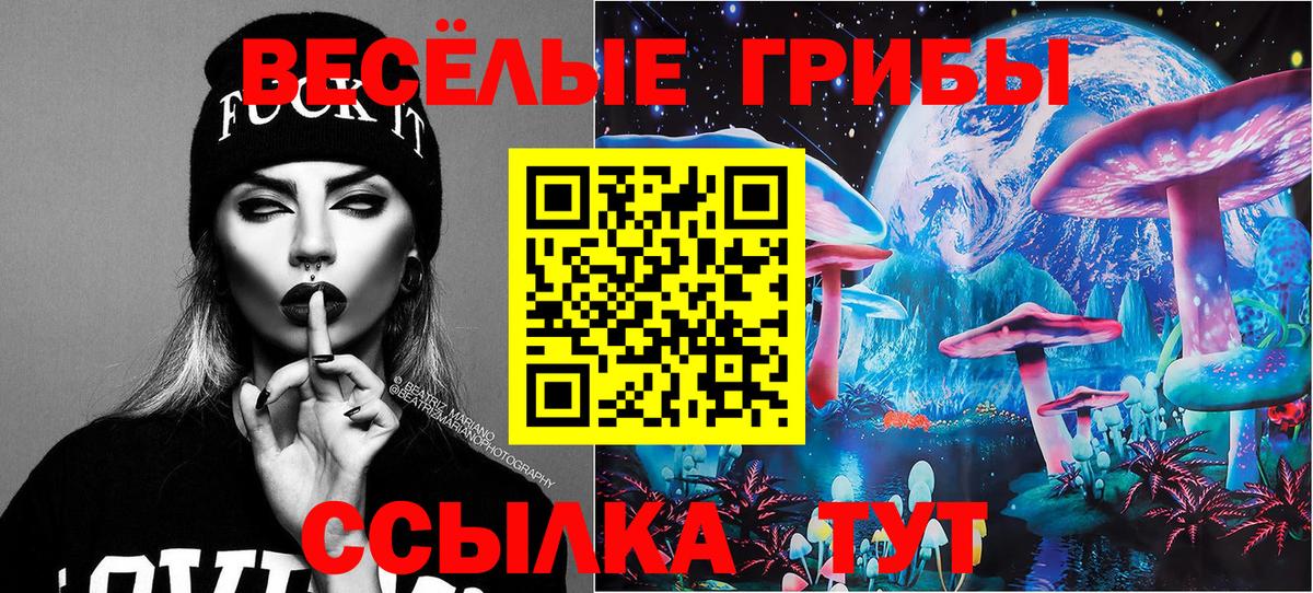 Галлюциногенные грибы GOLDEN TEACHER Хабаровск