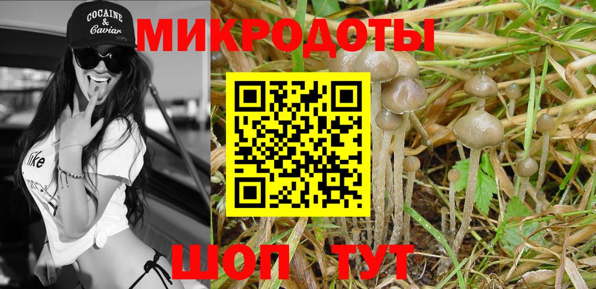 Хабаровск  Галлюциногенные грибы мицелий  дарнет шоп  Вход с VPN  Галлюциногенные грибы Cubensis 